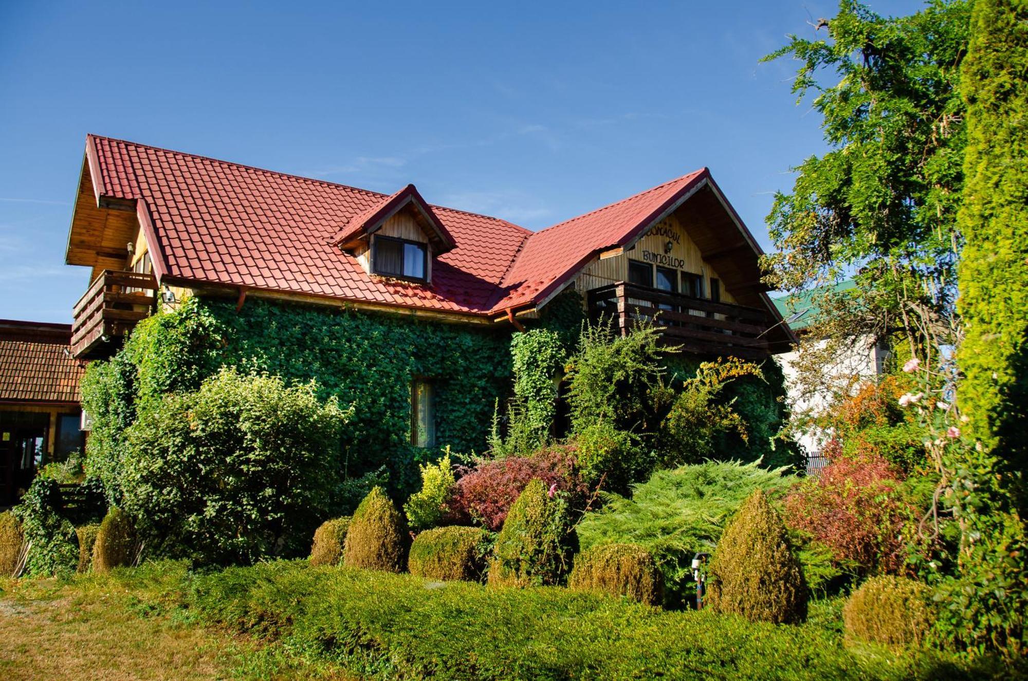 Conacul Bunicilor Novaci Exterior foto